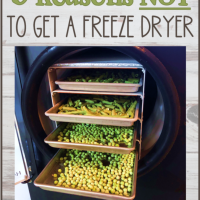 Five Reasons NOT to Get a Freeze Dryer