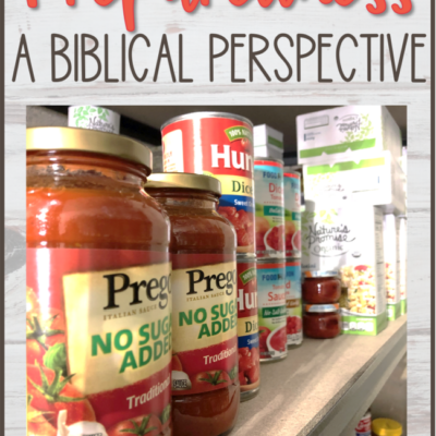 Preparedness: A Biblical Perspective