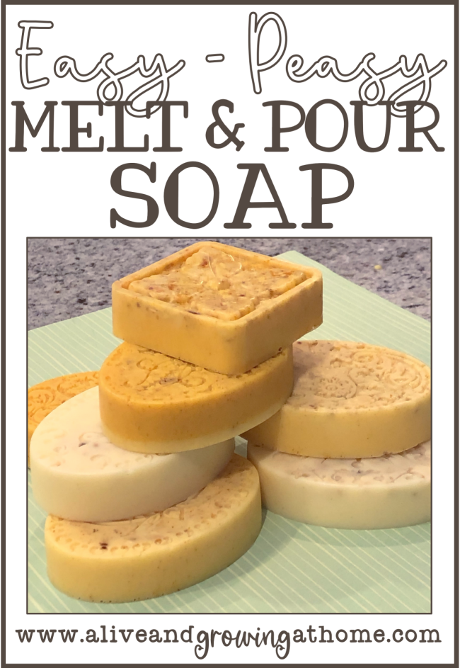 EASY Melt and Pour Soap Recipe - Alive and Growing at Home