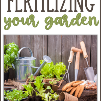 Fertilizing your Garden