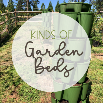 Kinds of Garden Beds + Location