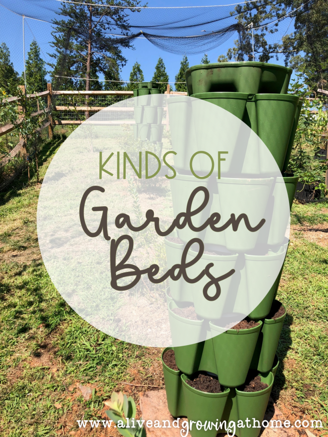 Kinds of Garden Beds - Choose your Location - Alive and Growing at Home
