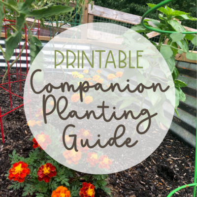 Printable Companion Planting Guide