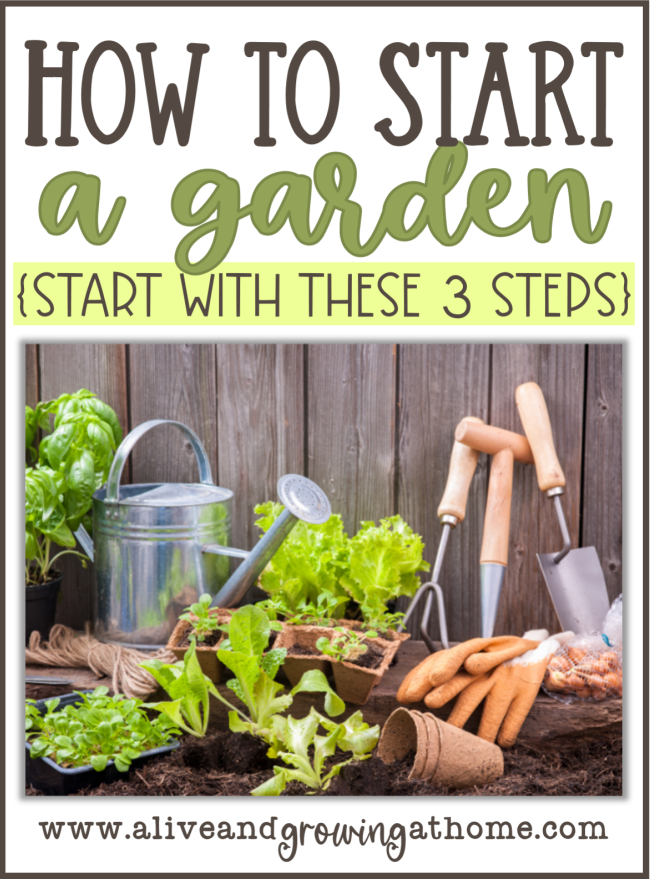Starting a Garden: Step-by-Step - Alive and Growing at Home