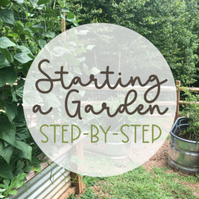 Starting a Garden: Step-by-Step