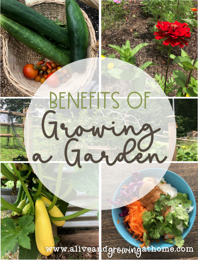 The Benefits of Growing a Garden - Alive and Growing At Home
