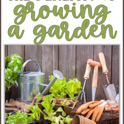 The Benefits of Growing a Garden