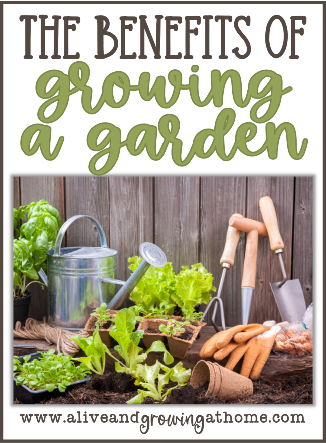 The Benefits of Growing a Garden - Alive and Growing at Home
