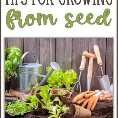 Tips for Growing from Seed