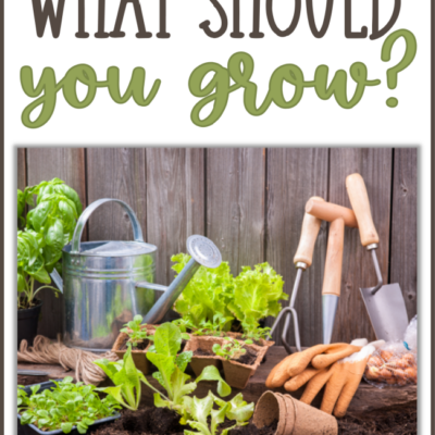 What to Grow in Your Garden