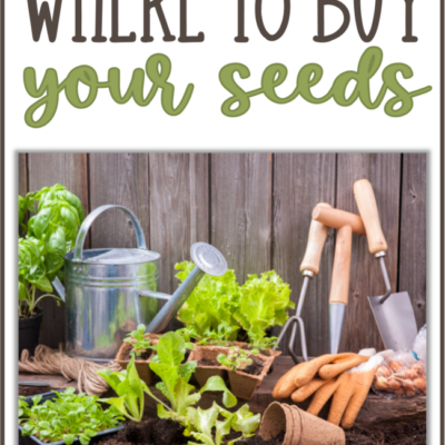 Buying Seeds for your Garden