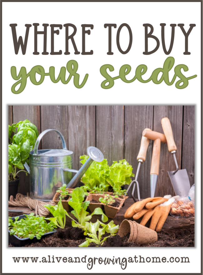 Buying Seeds for Your Garden: Why? and Where? - Alive and Growing at Home