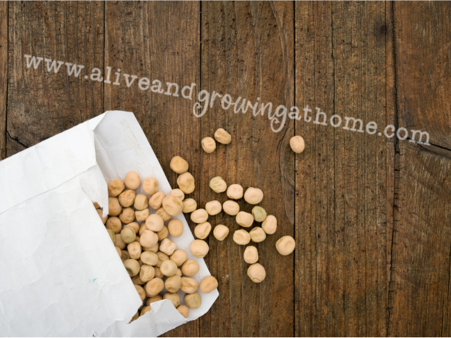 buying seeds for your garden - alive and growing at home