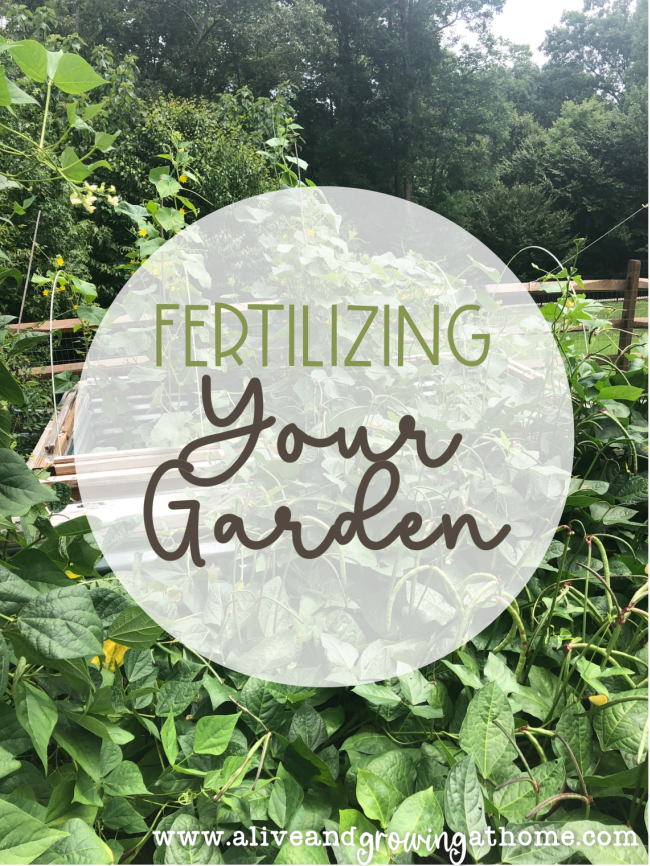 Fertilizing Your Garden - Alive and Growing at Home