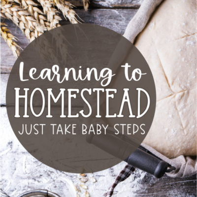 Learning to Homestead – Take Baby Steps