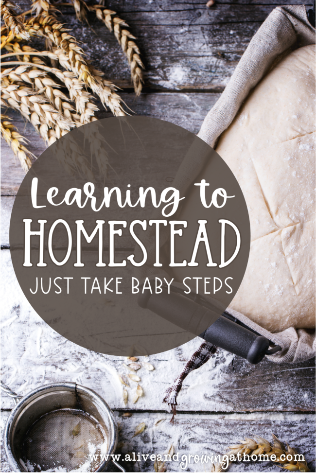 Learning to Homestead - Just Take Baby Steps - Alive and Growing at Home