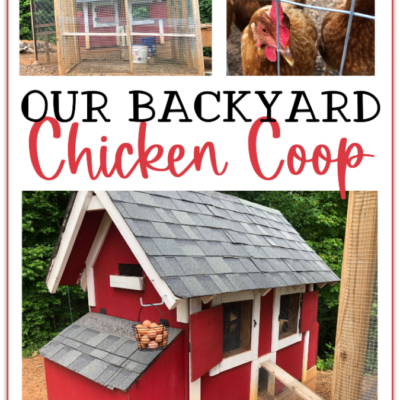 Our Backyard Chicken Coop