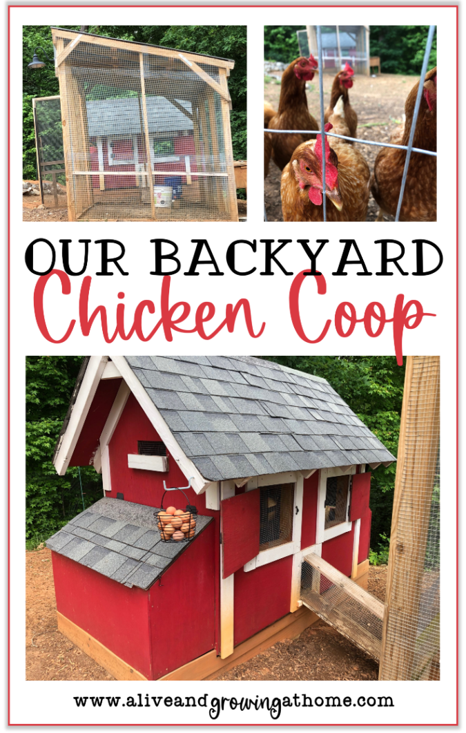 A Tour of our Backyard Chicken Coop - Alive and Growing at Home