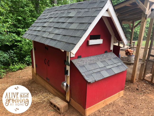 Our Backyard Chicken Coop - back