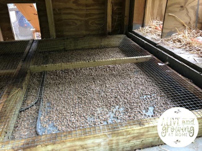 Use hard cloth frames and trays to chicken eggs clean - Alive and Growing at Home