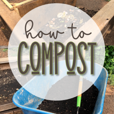 How to Compost – Tips and Tricks