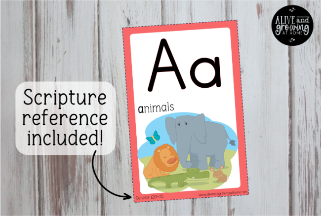 Bible Alphabet Cards - great for hanging on the wall