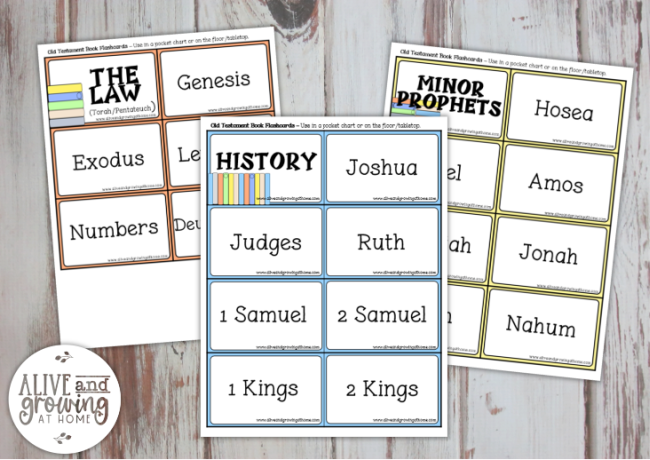 Old Testament Books Printable Pack - sorting cards