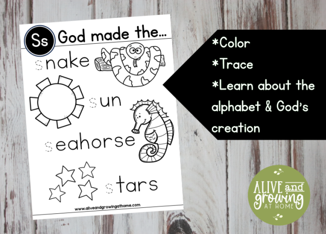 Things God Made Alphabet Pages - Letter Ss Sample Page - Alive and Growing at Home
