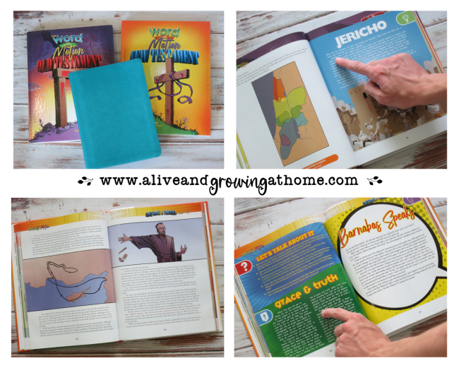 Apologia Bible Curriculum Review - a glance at the textbook