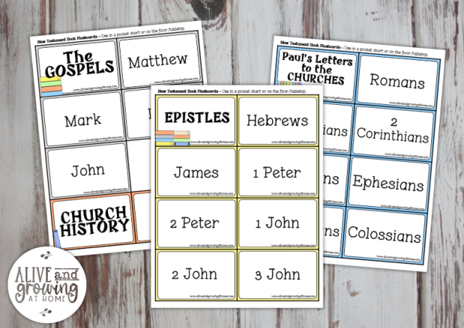 New Testament Books of the Bible Pack - NT book cards