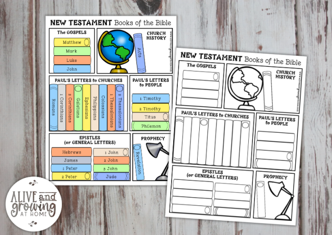 New Testament Books of the Bible Pack - book charts
