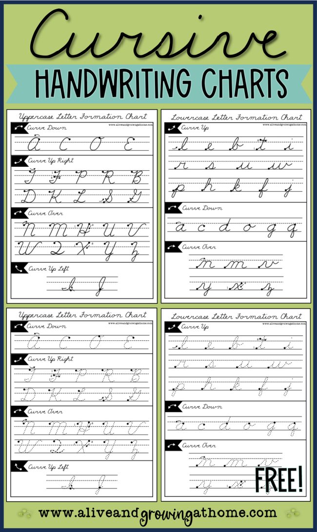 FREE Cursive Handwriting Charts ~ for uppercase and lowercase letters ~Alive and Growing at Home