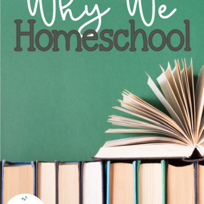 10 Reasons Why We Homeschool